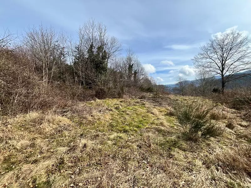 Terrain, 3 200 m²