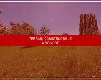 Terrain