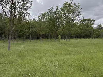 Terrain, 3 800 m²