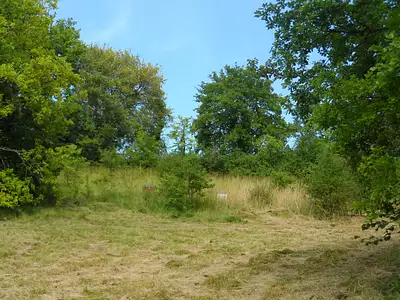 Terrain, 2 500 m²