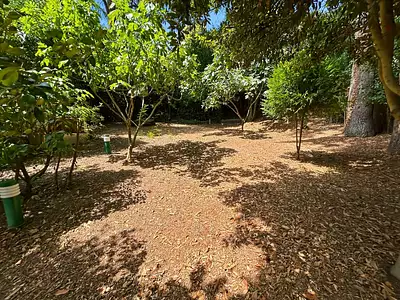 Maison, 177 m²