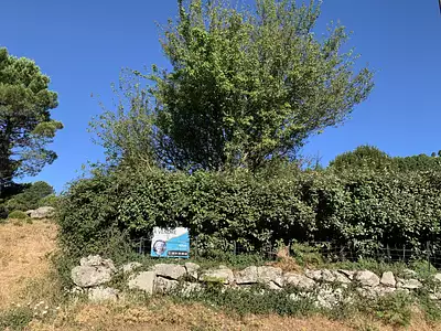 Terrain, 201 m²