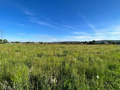 Terrain, 1 250 m²