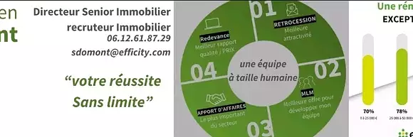 Sébastien Dômont - efficity