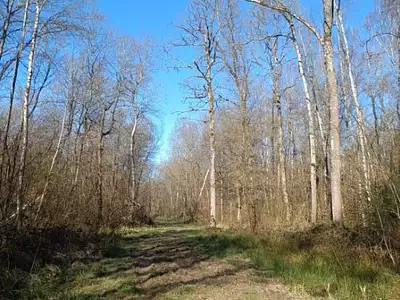 Terrain, 954 490 m²