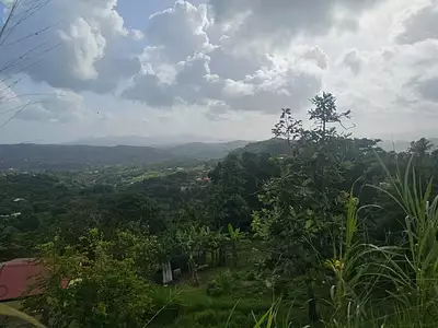 Terrain, 1 328 m²