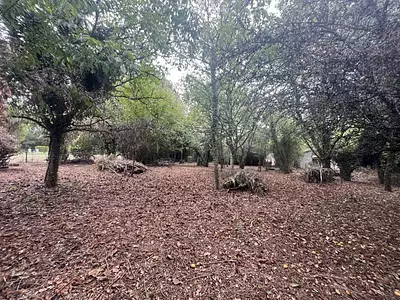 Terrain, 1 423 m²