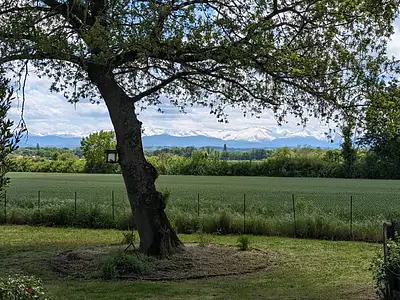 Maison, 385 m²