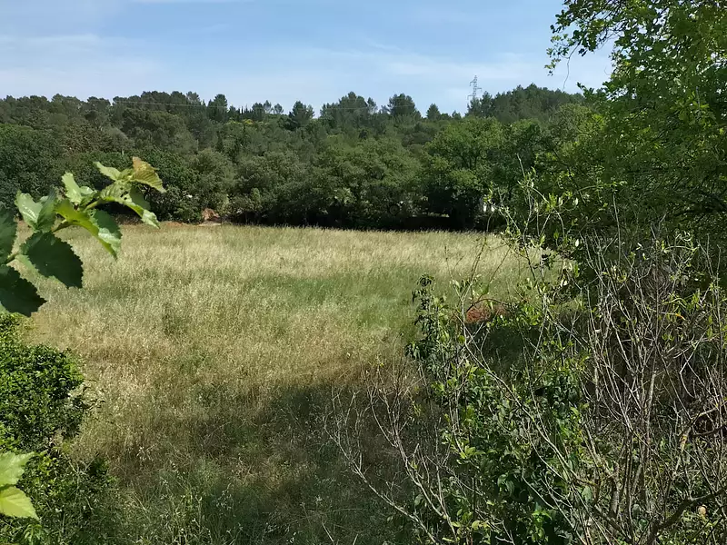 Terrain, 2 341 m²