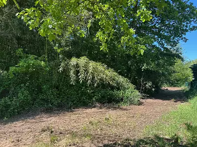 Terrain, 6 209 m²
