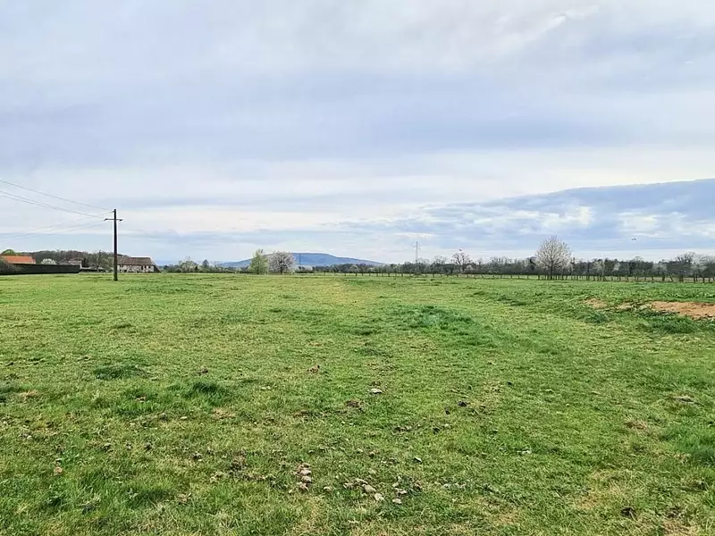 Terrain, 1 175 m²