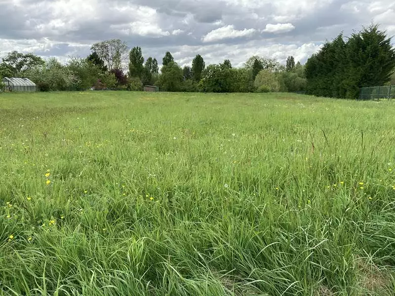 Terrain, 4 265 m²