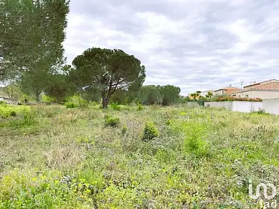 Terrain