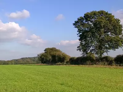 Terrain à bâtir, 581 m²