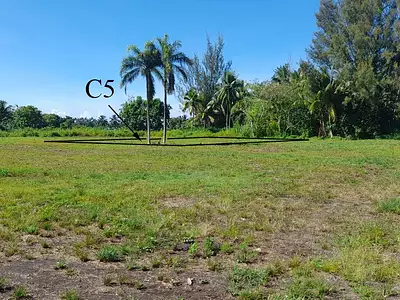Terrain, 963 m²