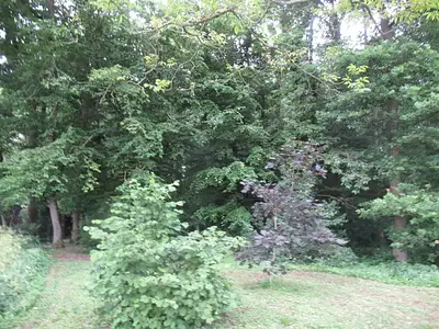 Terrain, 1 656 m²