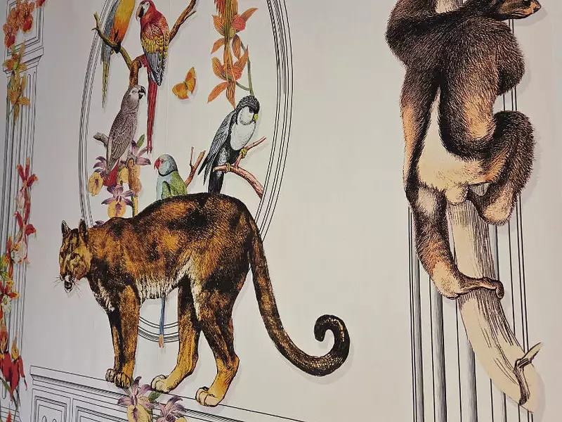 Appartement, 47,29 m²