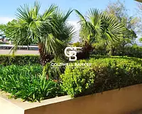 Appartement, 52,4 m²