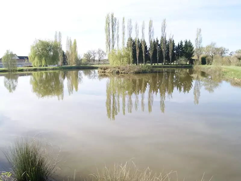 Terrain, 18 627 m²