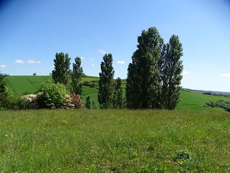 Terrain, 3 048 m²
