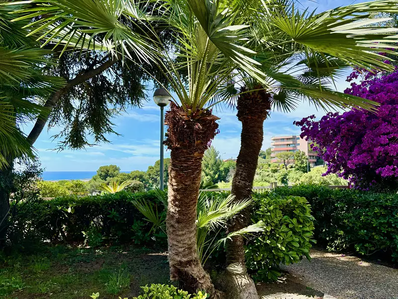 Appartement, 31,51 m²