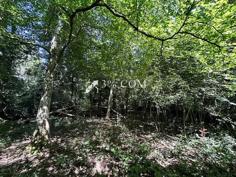 Terrain, 11 407 m²