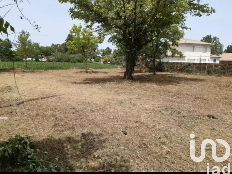 Terrain, 1 175 m²