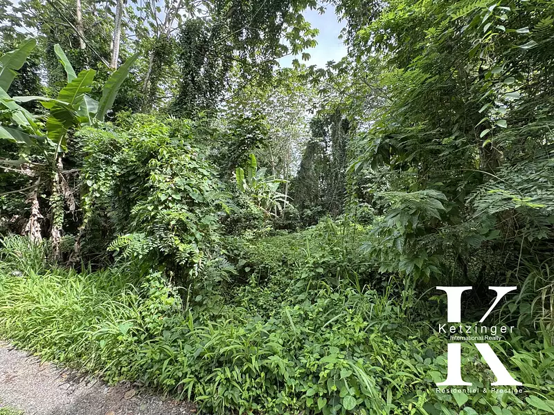 Terrain, 800 m²