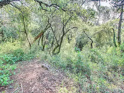 Terrain, 17 444 m²