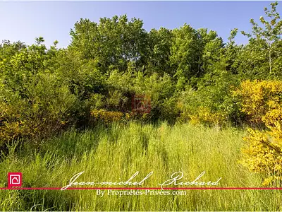 Terrain, 101 030 m²