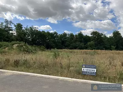 Terrain, 561 m²