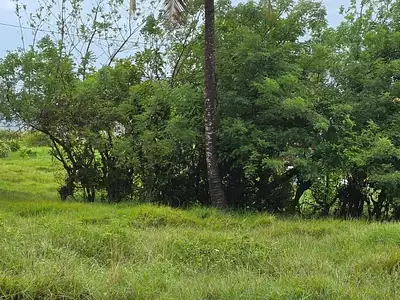 Terrain, 921 m²