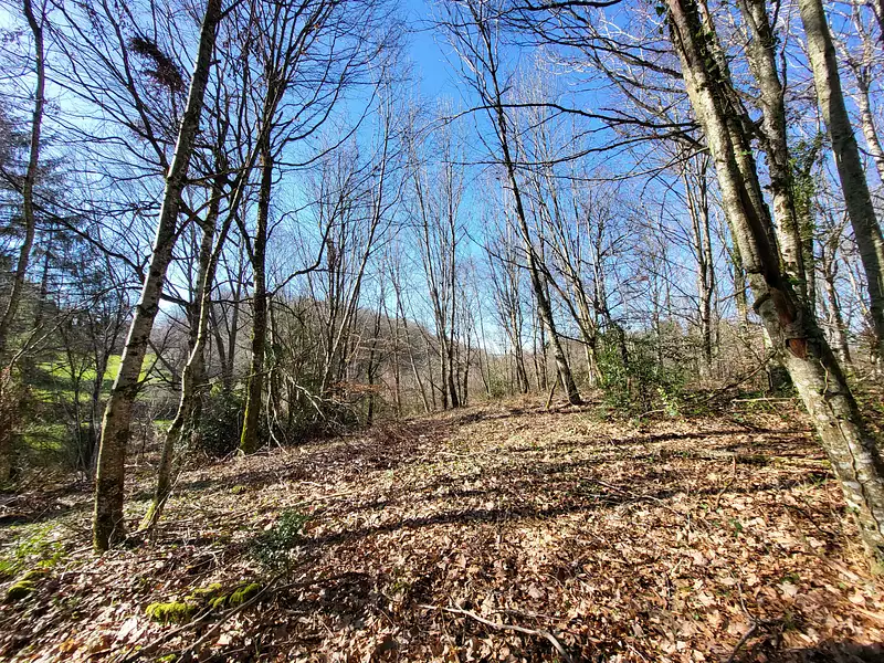 Terrain, 27 664 m²