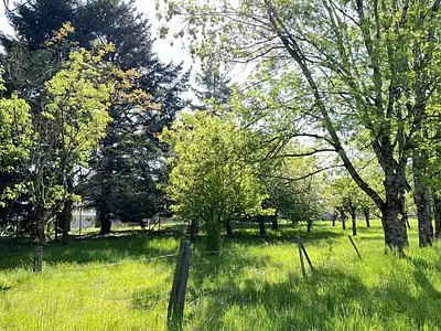 Maison, 225 m²