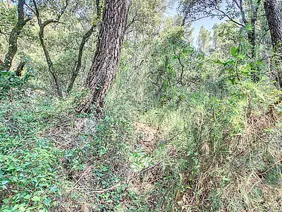 Terrain, 17 444 m²