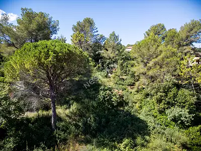 Terrain, 1 323 m²
