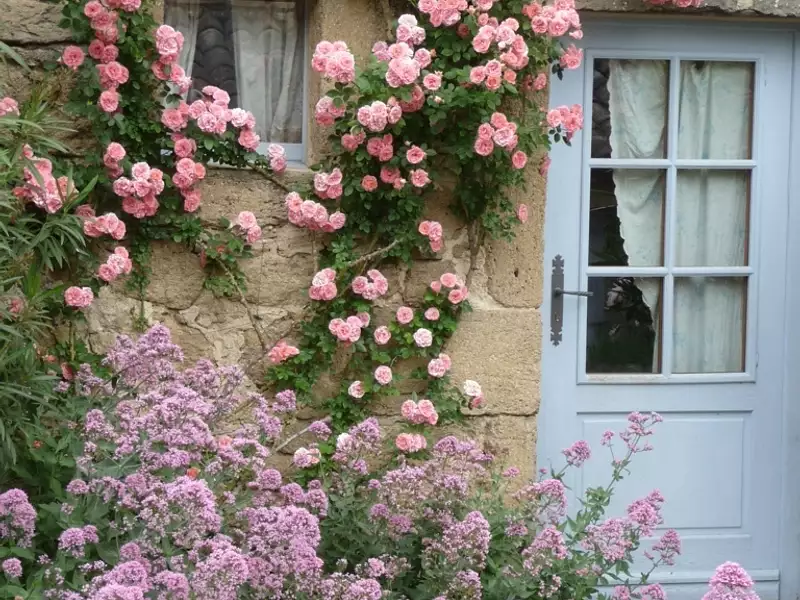 Maison, 330 m²