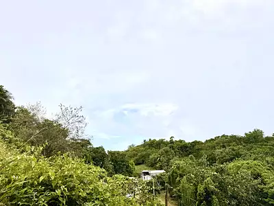 Terrain, 1 212 m²