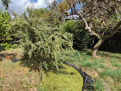 Terrain, 1 000 m²