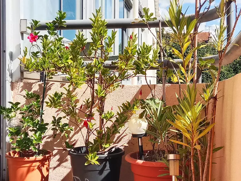 Appartement, 105 m²