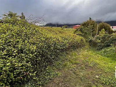 Terrain, 7 682 m²