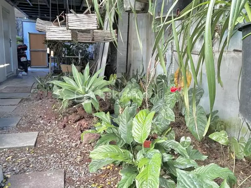 Maison, 250 m²