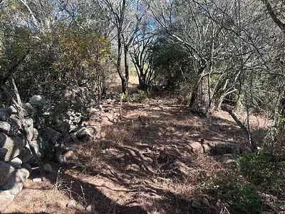Terrain, 1 440 m²