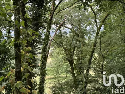 Terrain, 1 195 m²
