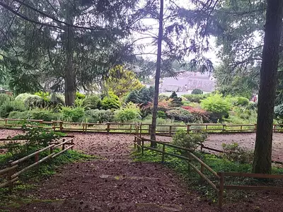 Maison, 240 m²