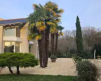 Maison, 300 m²