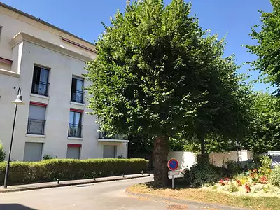 Appartement, 31 m²
