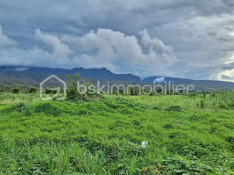 Terrain, 251 m²