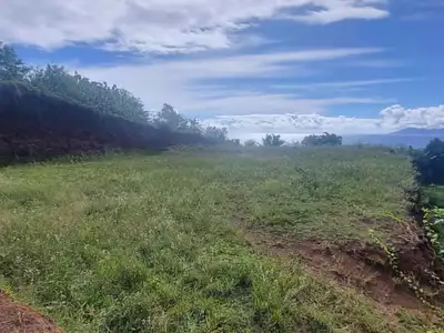Terrain, 2 000 m²