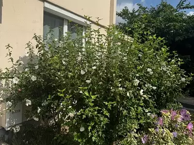 Appartement, 56 m²